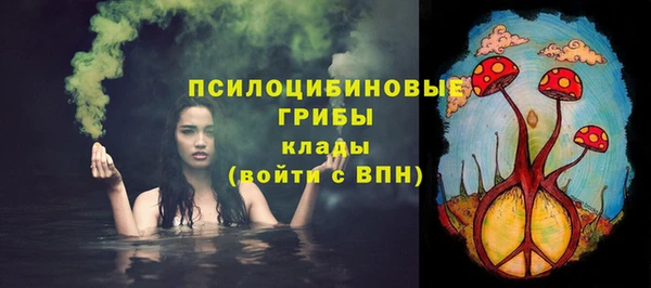 гашик Лиски