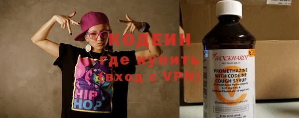 индика Нижний Тагил