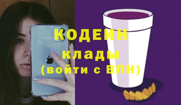 стаф Архангельск