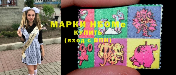 индика Нижний Тагил