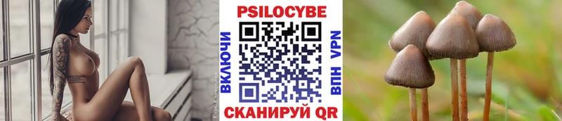 ссылка на мегу   Брюховецкая  Псилоцибиновые грибы мицелий 